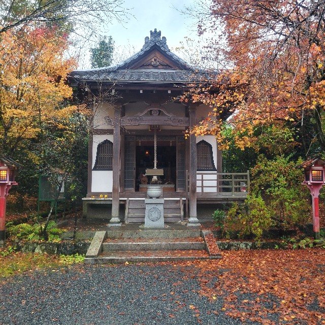 f:id:atoriatoriatori:20221223174714j:image