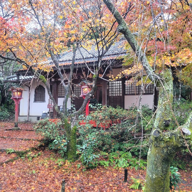 f:id:atoriatoriatori:20221223204232j:image