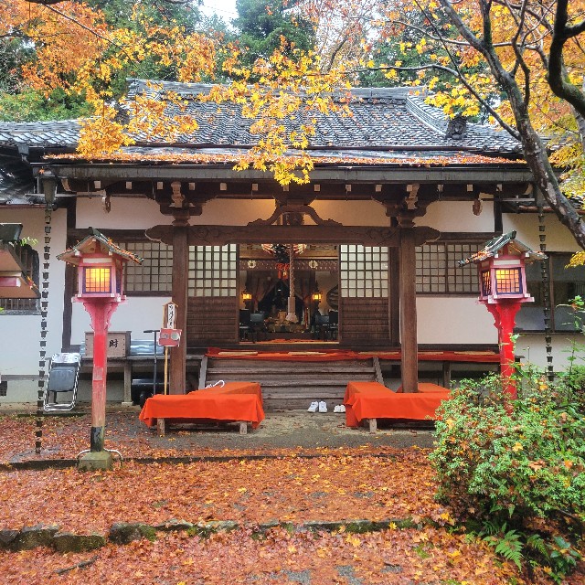 f:id:atoriatoriatori:20221223204250j:image