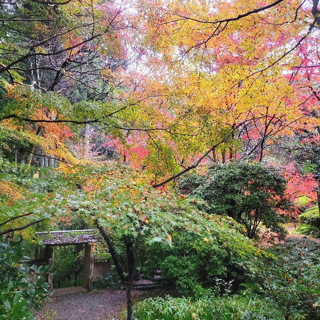 f:id:atoriatoriatori:20221223205451j:image