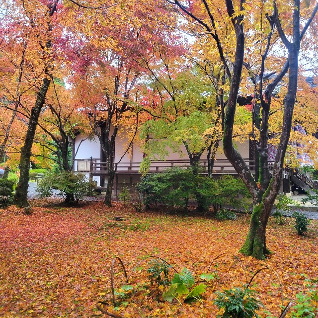 f:id:atoriatoriatori:20221223205458j:image