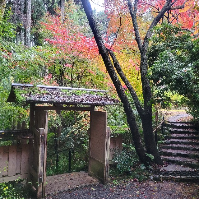 f:id:atoriatoriatori:20221223205505j:image