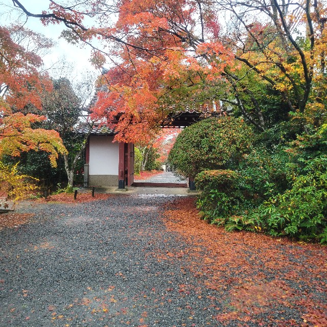 f:id:atoriatoriatori:20221223210429j:image