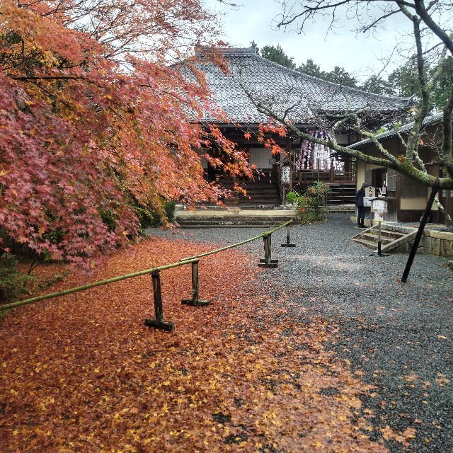 f:id:atoriatoriatori:20221224213833j:image