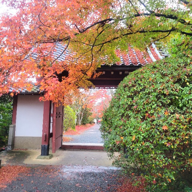 f:id:atoriatoriatori:20221224213900j:image