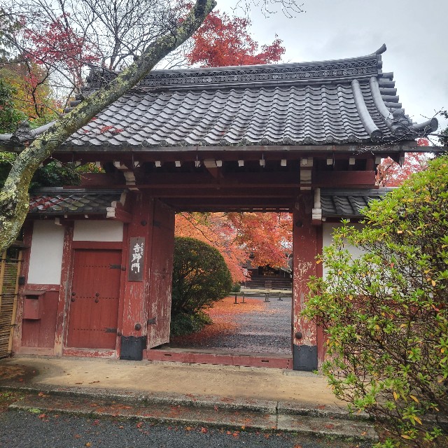 f:id:atoriatoriatori:20221224214014j:image