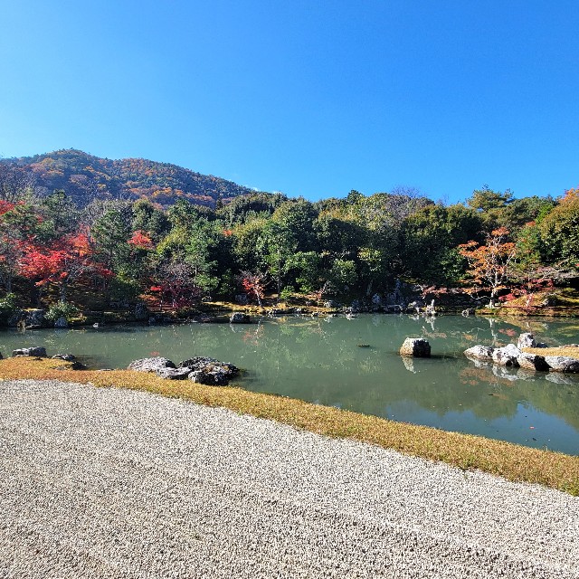 f:id:atoriatoriatori:20230118122558j:image
