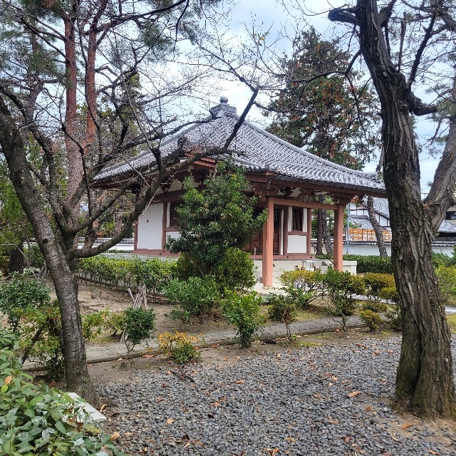f:id:atoriatoriatori:20230130140310j:image