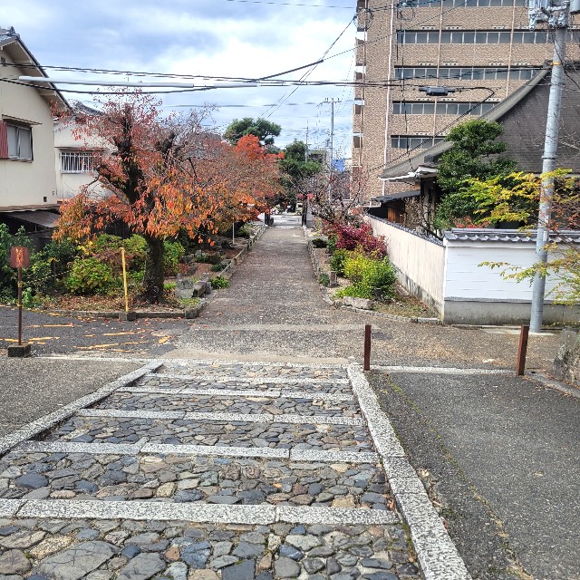 f:id:atoriatoriatori:20230130141441j:image