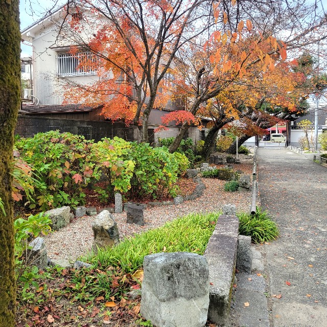 f:id:atoriatoriatori:20230130141646j:image