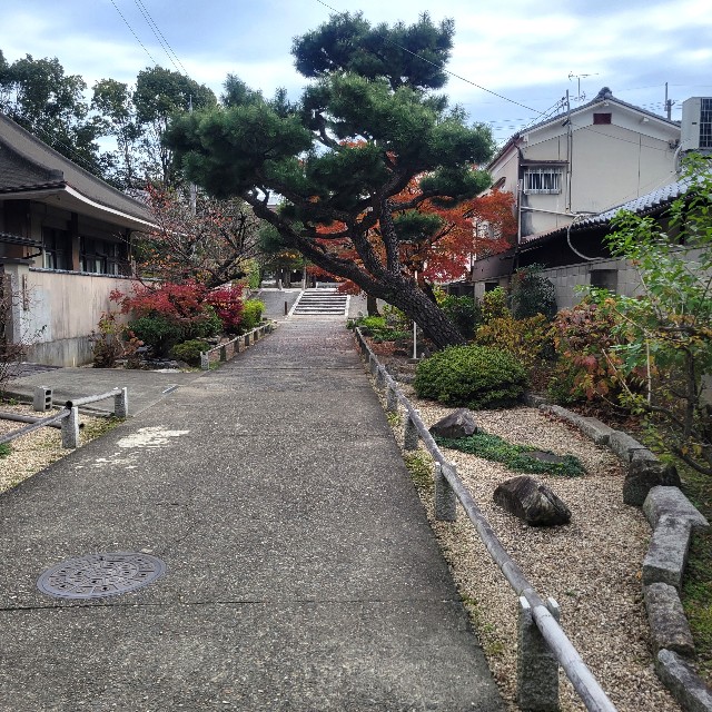 f:id:atoriatoriatori:20230130154036j:image