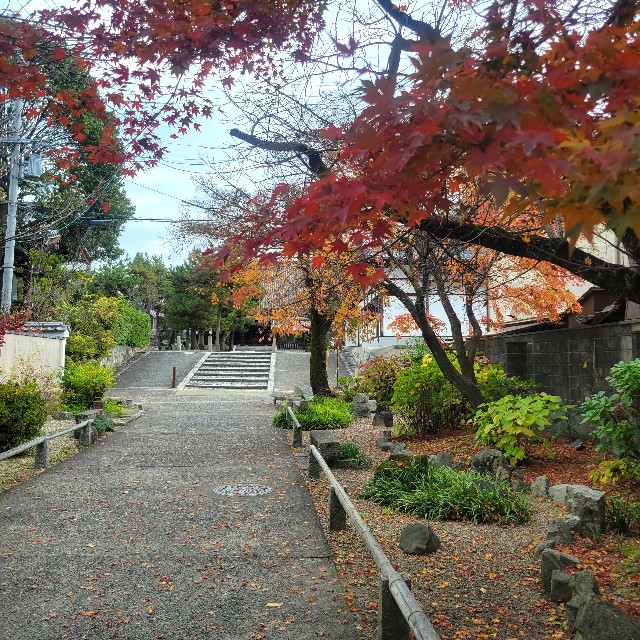 f:id:atoriatoriatori:20230130154043j:image