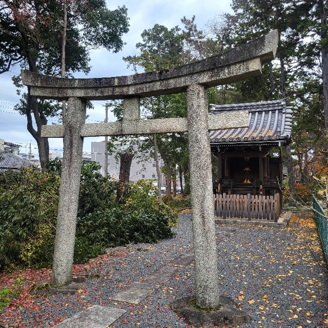 f:id:atoriatoriatori:20230130154721j:image