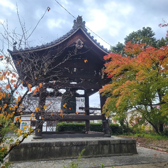 f:id:atoriatoriatori:20230130154935j:image