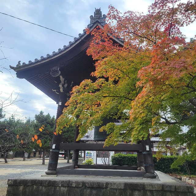 f:id:atoriatoriatori:20230130154944j:image