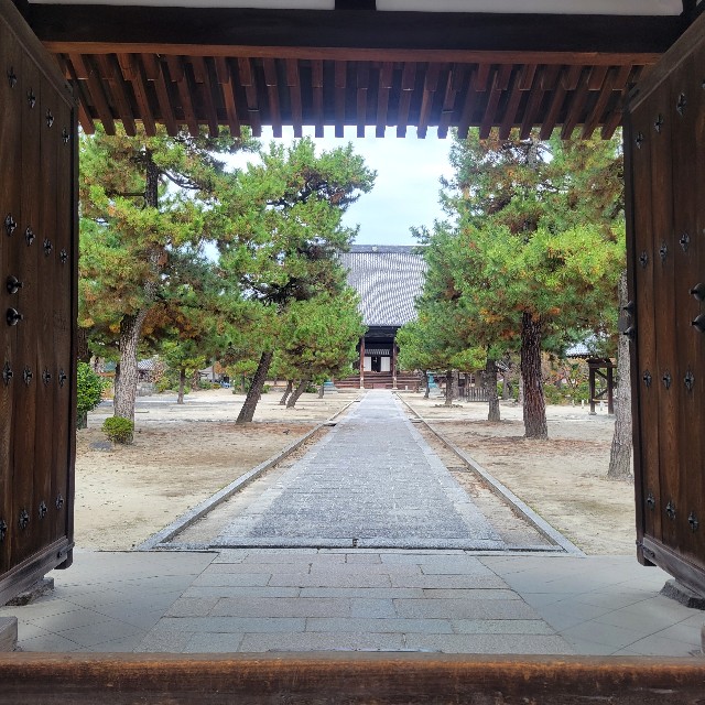 f:id:atoriatoriatori:20230130154954j:image