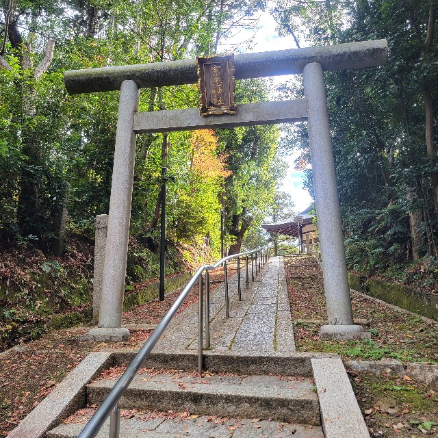 f:id:atoriatoriatori:20230201183341j:image