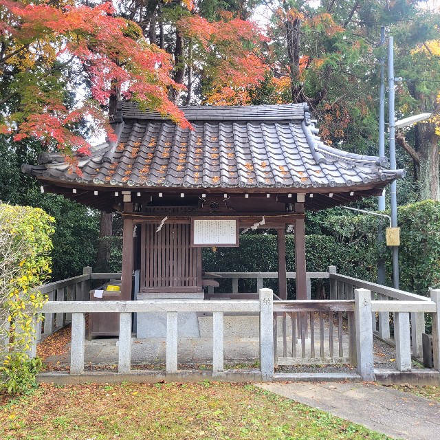 f:id:atoriatoriatori:20230201201819j:image