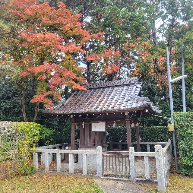 f:id:atoriatoriatori:20230201201828j:image