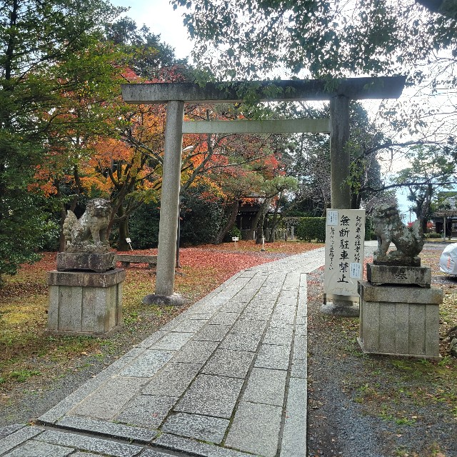 f:id:atoriatoriatori:20230201210535j:image