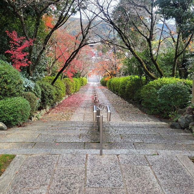 f:id:atoriatoriatori:20230202091334j:image