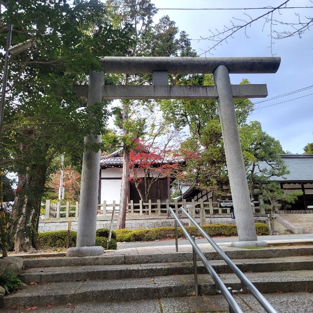 f:id:atoriatoriatori:20230202092236j:image