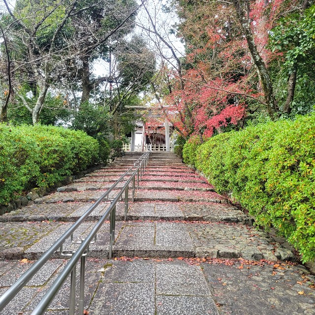 f:id:atoriatoriatori:20230202092300j:image