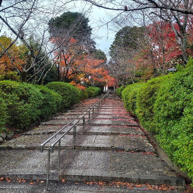 f:id:atoriatoriatori:20230202092422j:image