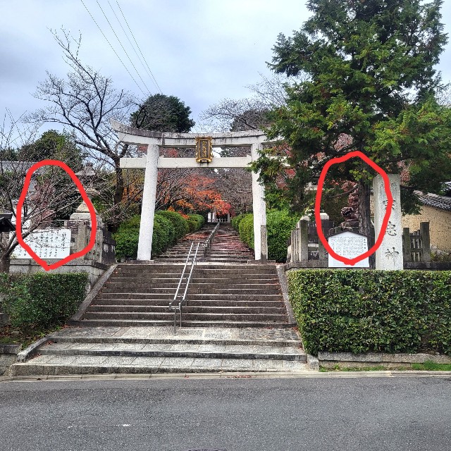 f:id:atoriatoriatori:20230202093953j:image