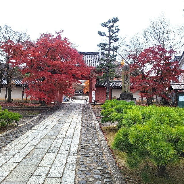 f:id:atoriatoriatori:20230203163859j:image f:id:atoriatoriatori:20230203163859j:image