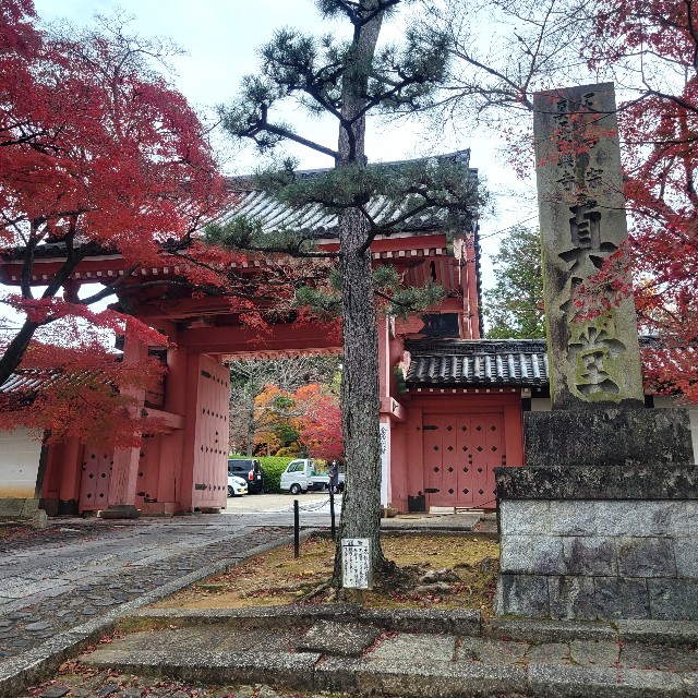 f:id:atoriatoriatori:20230203163906j:image f:id:atoriatoriatori:20230203163906j:image