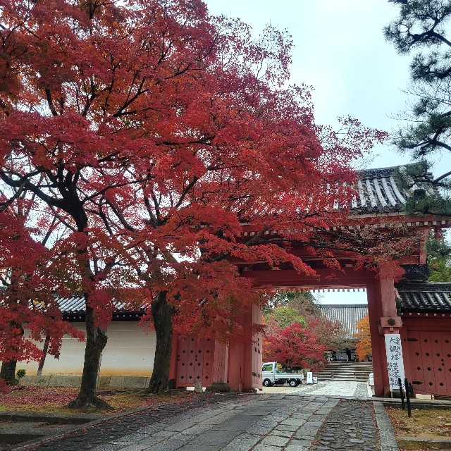 f:id:atoriatoriatori:20230203164859j:image f:id:atoriatoriatori:20230203164859j:image