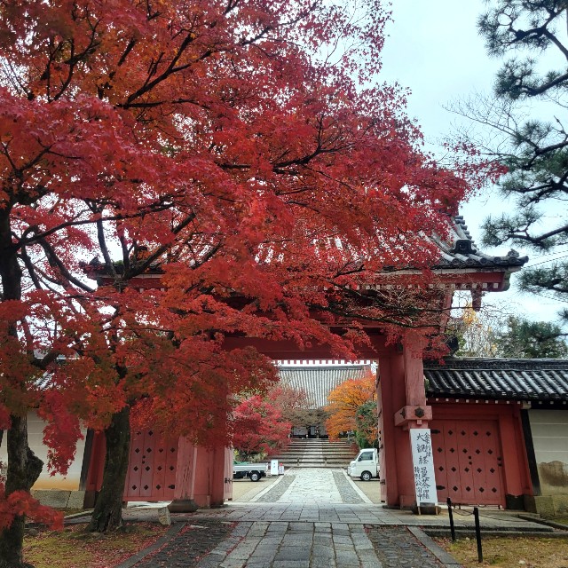 f:id:atoriatoriatori:20230203165112j:image f:id:atoriatoriatori:20230203165112j:image