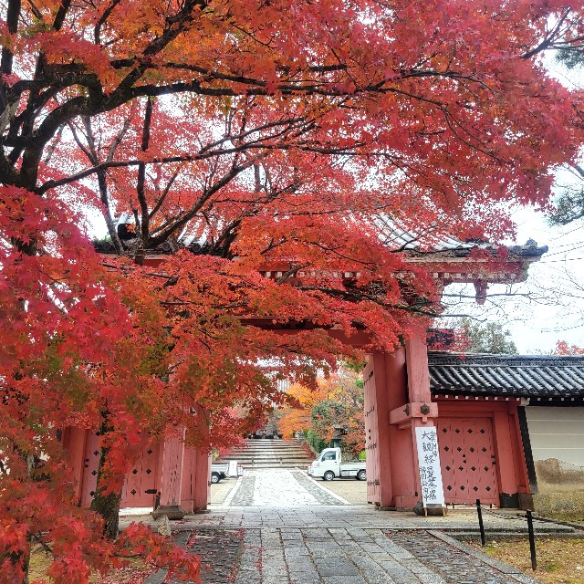 f:id:atoriatoriatori:20230203165128j:image f:id:atoriatoriatori:20230203165128j:image