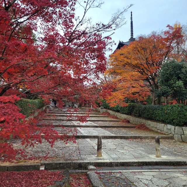 f:id:atoriatoriatori:20230203174020j:image f:id:atoriatoriatori:20230203174020j:image