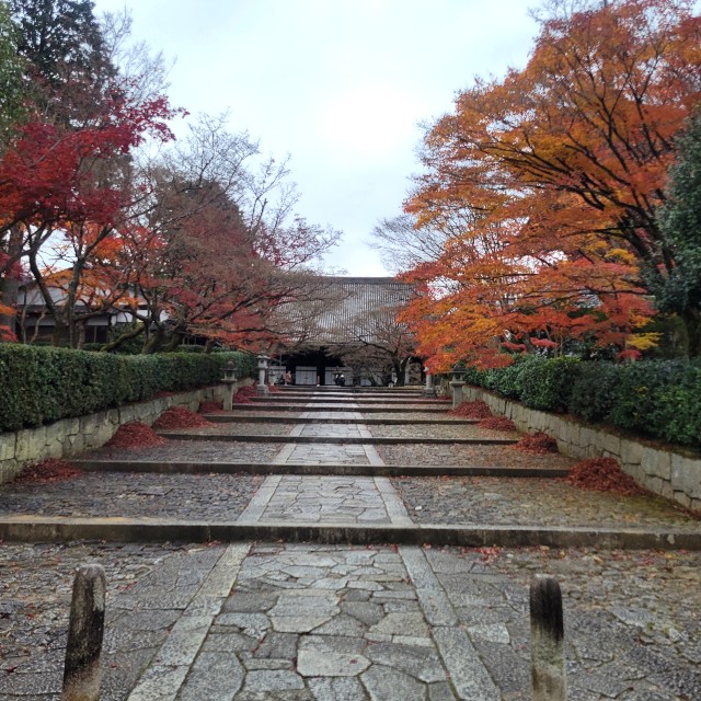 f:id:atoriatoriatori:20230203174027j:image f:id:atoriatoriatori:20230203174027j:image