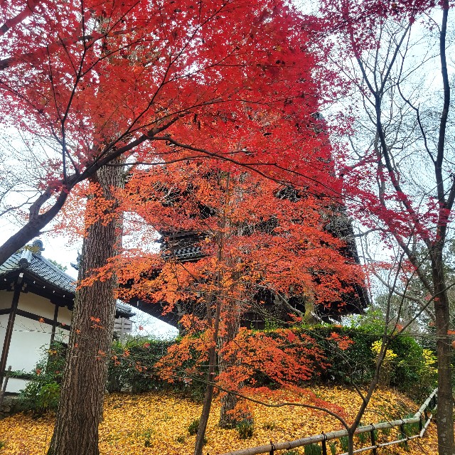 f:id:atoriatoriatori:20230203175333j:image f:id:atoriatoriatori:20230203175333j:image
