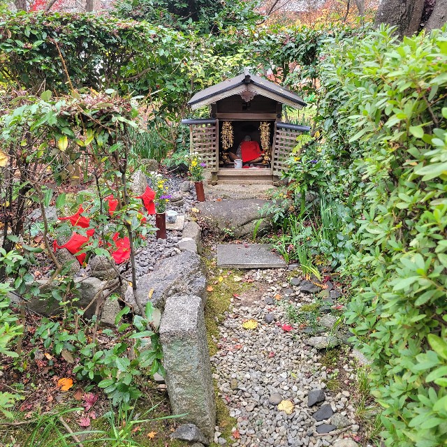 f:id:atoriatoriatori:20230203175351j:image f:id:atoriatoriatori:20230203175351j:image