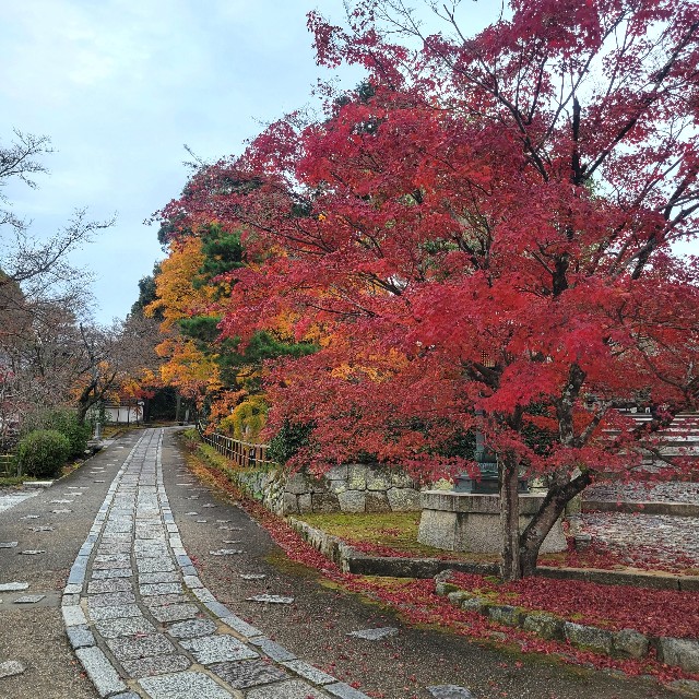 f:id:atoriatoriatori:20230203175642j:image f:id:atoriatoriatori:20230203175642j:image