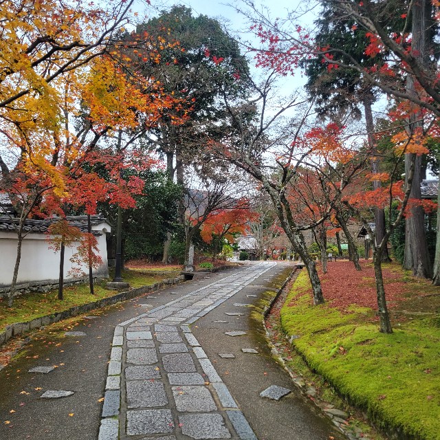 f:id:atoriatoriatori:20230203175649j:image f:id:atoriatoriatori:20230203175649j:image