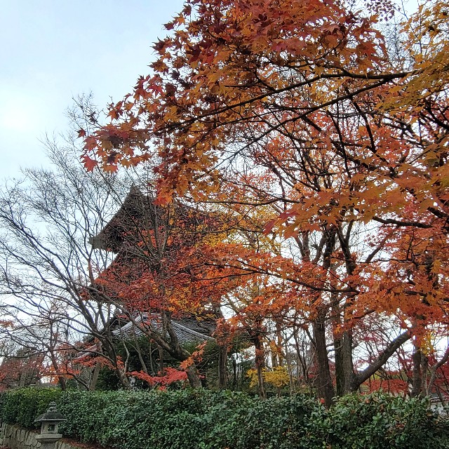 f:id:atoriatoriatori:20230203181904j:image f:id:atoriatoriatori:20230203181904j:image