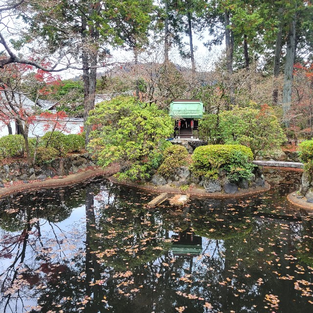 f:id:atoriatoriatori:20230203182541j:image f:id:atoriatoriatori:20230203182541j:image