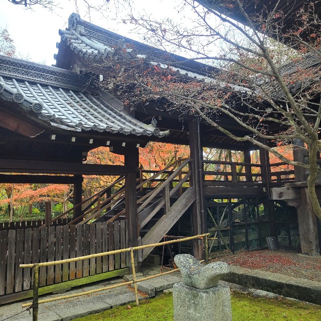 f:id:atoriatoriatori:20230203183614j:image f:id:atoriatoriatori:20230203183614j:image