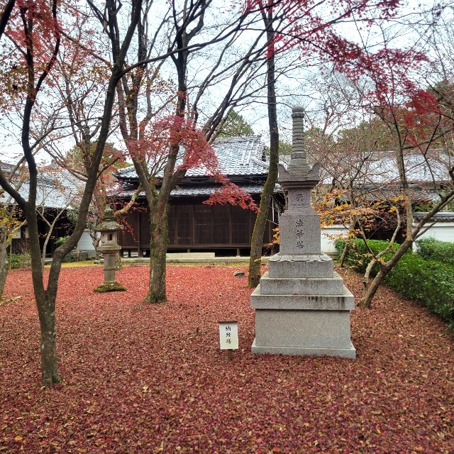 f:id:atoriatoriatori:20230204090104j:image f:id:atoriatoriatori:20230204090104j:image