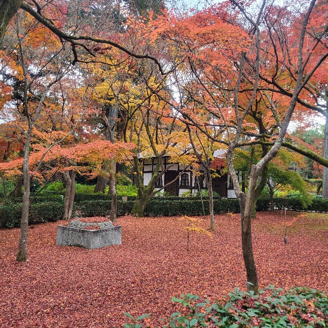 f:id:atoriatoriatori:20230204090115j:image f:id:atoriatoriatori:20230204090115j:image