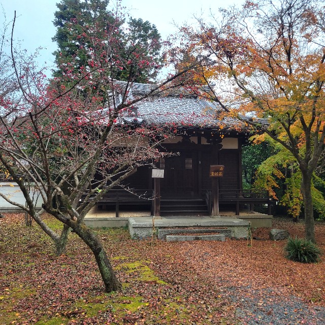 f:id:atoriatoriatori:20230204090236j:image f:id:atoriatoriatori:20230204090236j:image