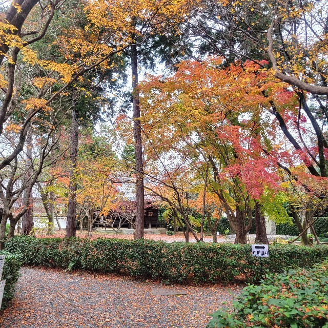 f:id:atoriatoriatori:20230204090827j:image f:id:atoriatoriatori:20230204090827j:image