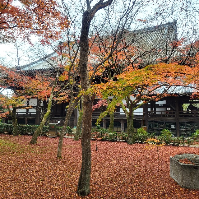 f:id:atoriatoriatori:20230204090843j:image f:id:atoriatoriatori:20230204090843j:image