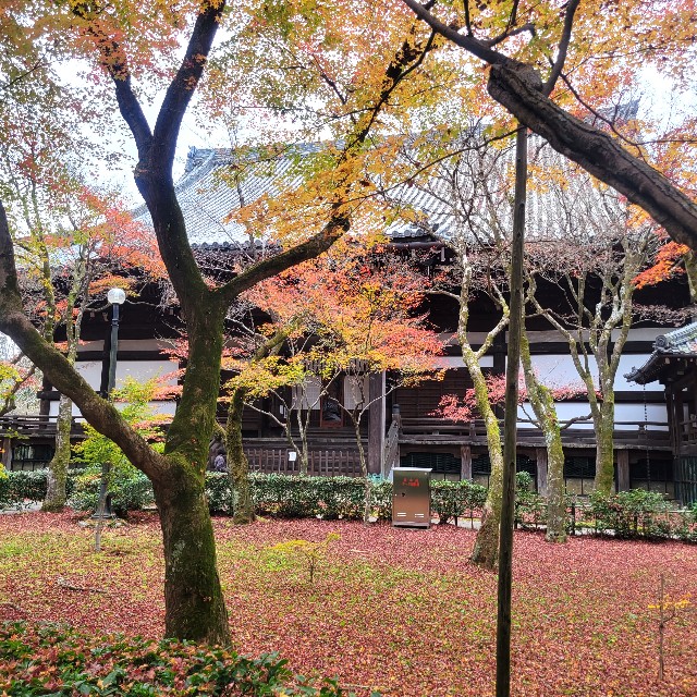 f:id:atoriatoriatori:20230204090850j:image f:id:atoriatoriatori:20230204090850j:image