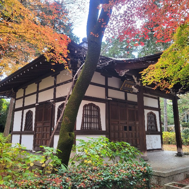f:id:atoriatoriatori:20230204090913j:image f:id:atoriatoriatori:20230204090913j:image